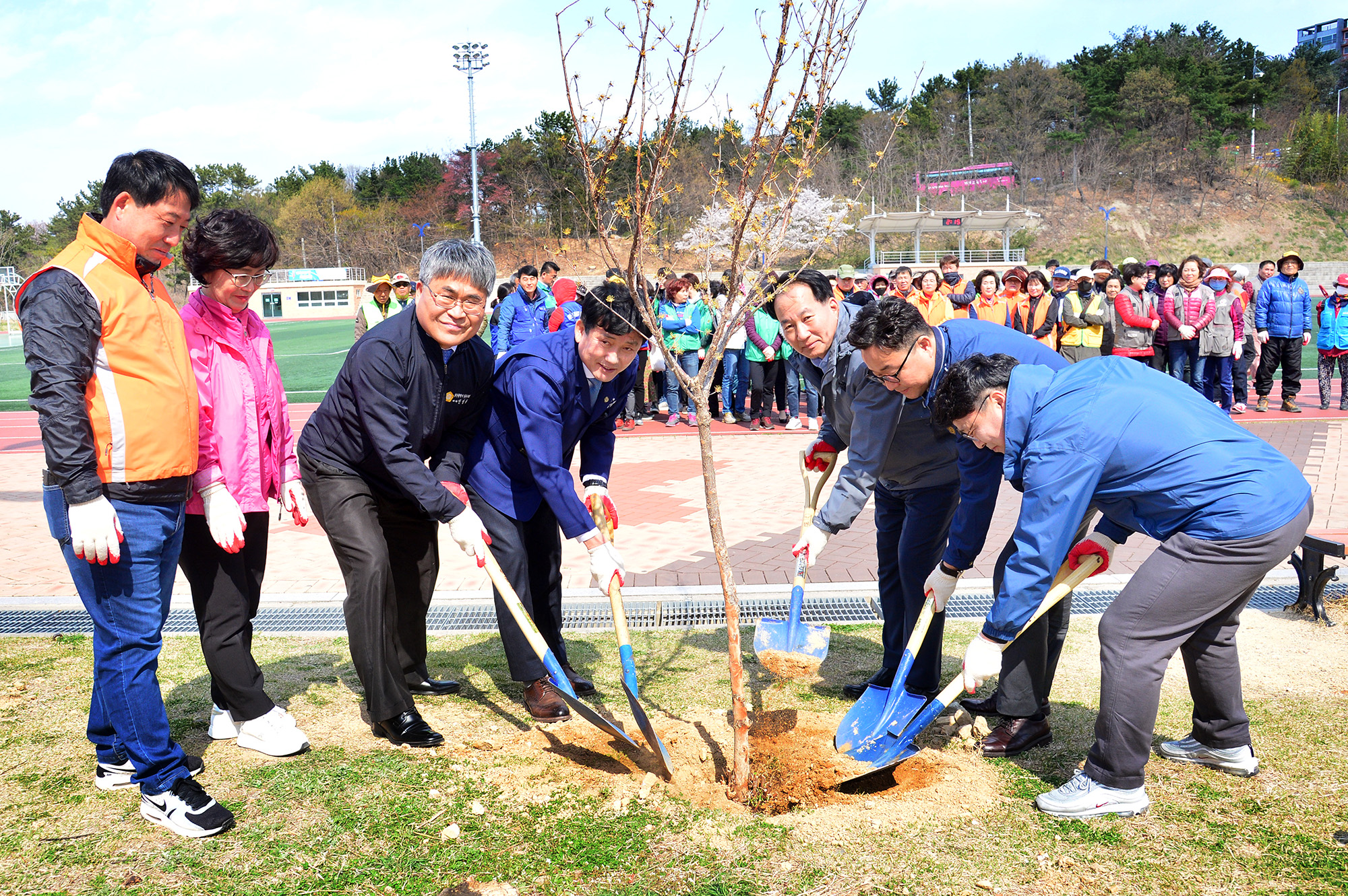 제3회 성안동 산수유 나무심기 행사 3
