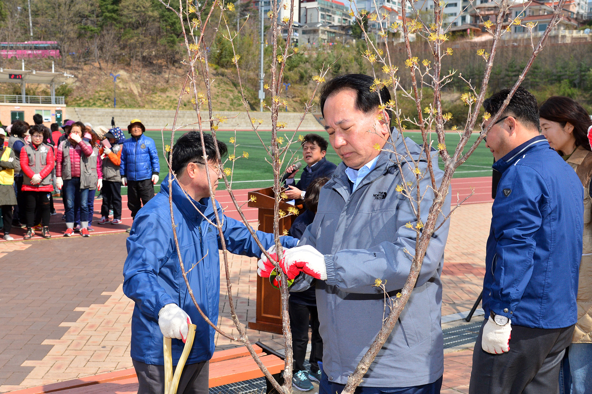 제3회 성안동 산수유 나무심기 행사 5