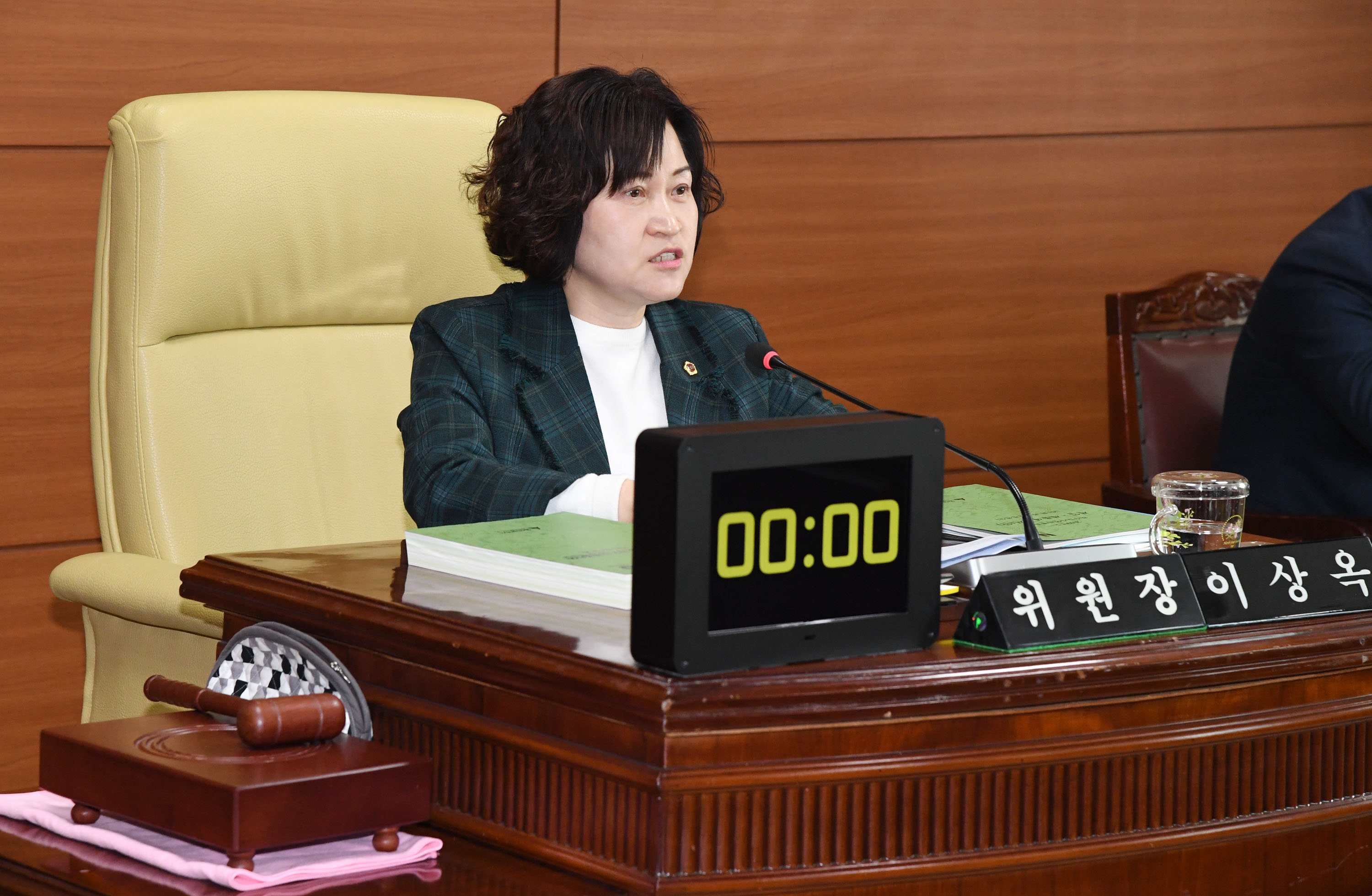 예산결산특별위원회 2019년도 제1회 울산광역시 추가경정예산안 예비심사4