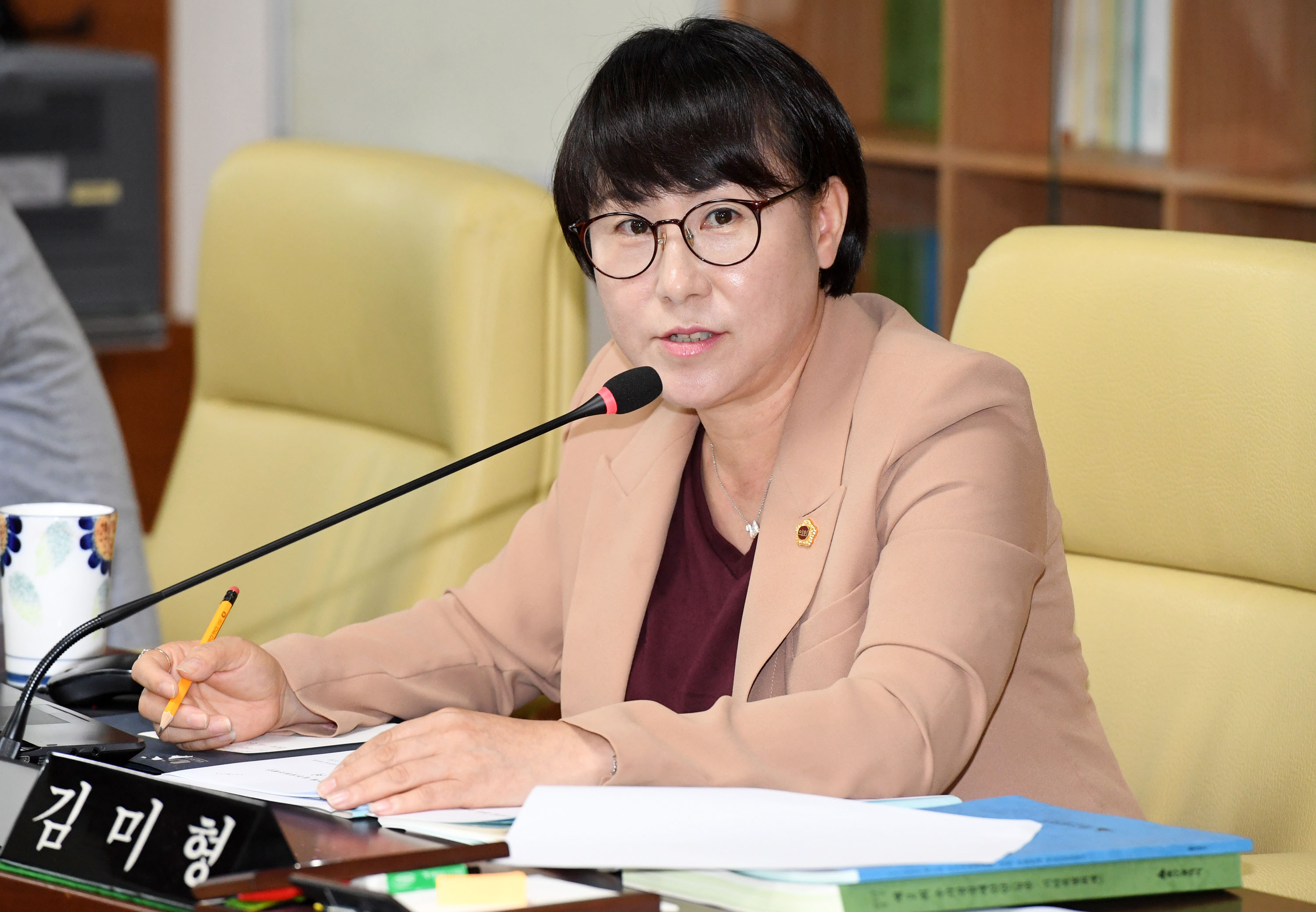 시의회 행정자치위원회 행정지원국 소관 2019년도 제2회 울산광역시 추가경정예산안 예비심사9