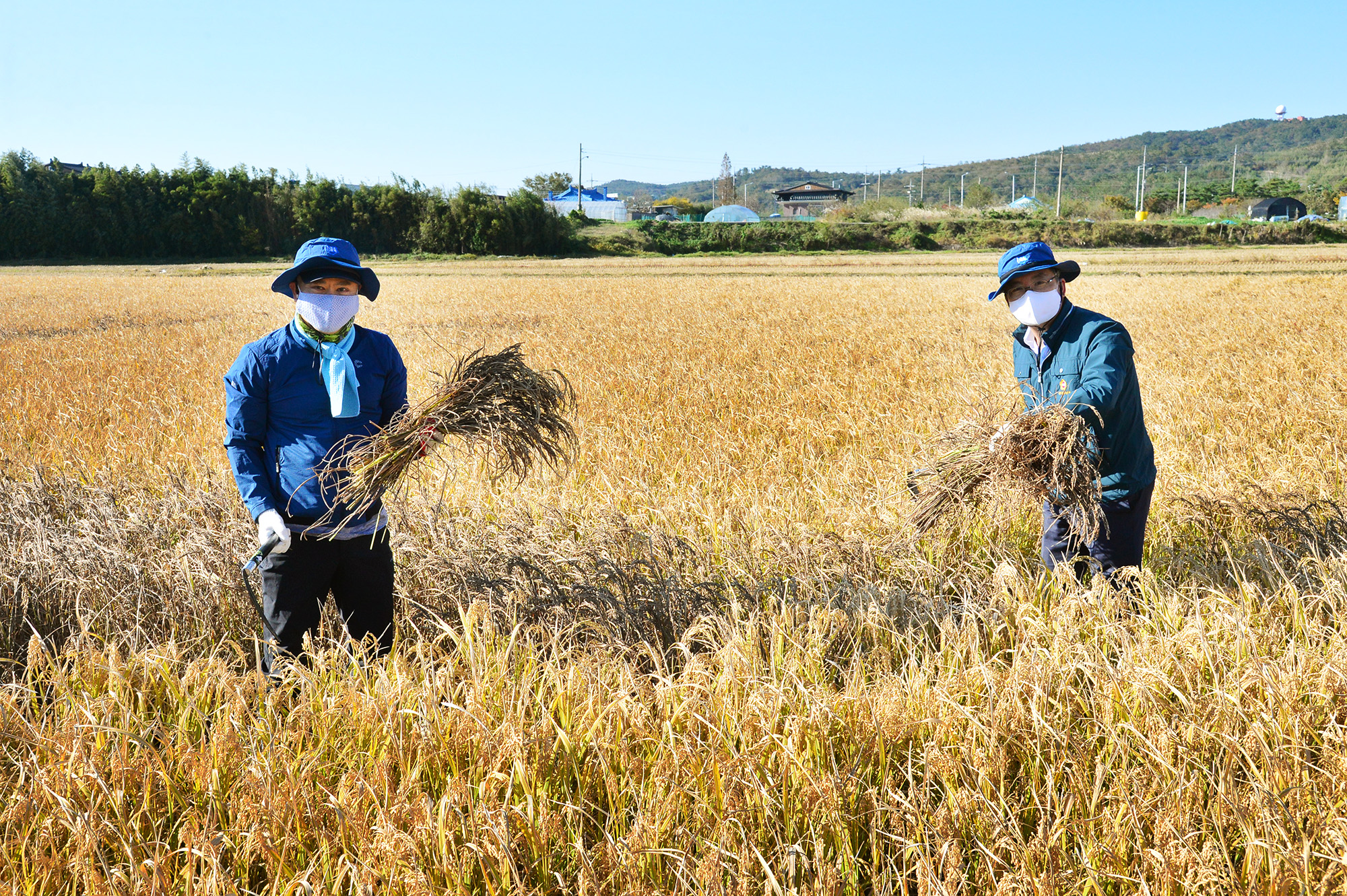 포토갤러리(보기) | 울산광역시의회