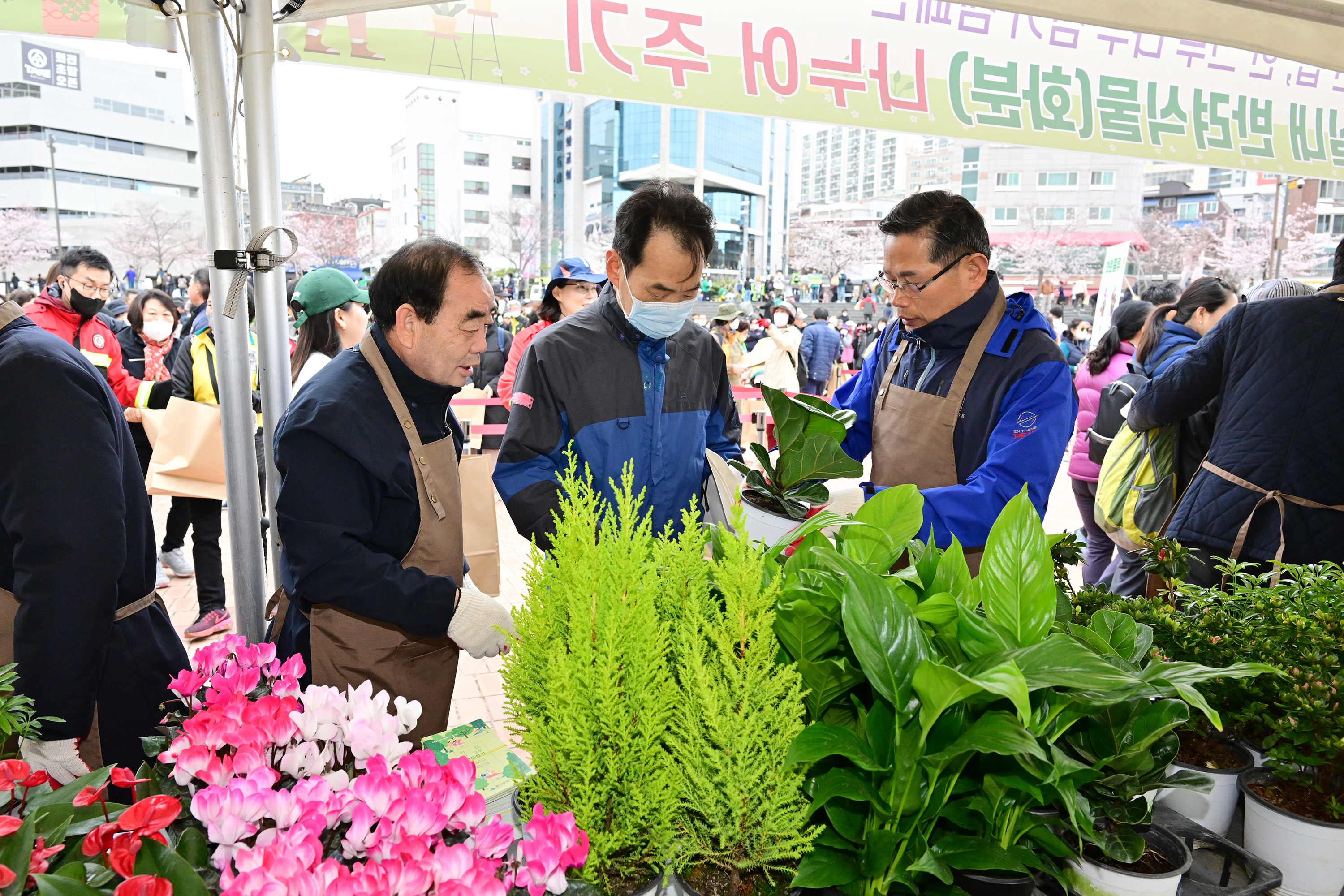 한 집, 한 그루 행복나무 심기 캠페인 12