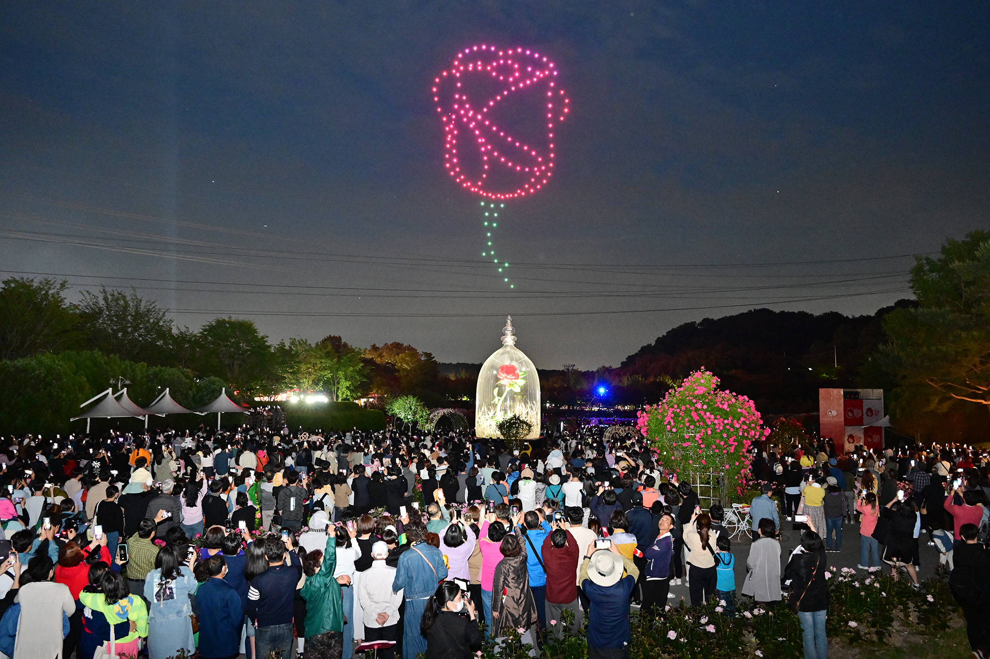 제 15회 울산대공원 장미축제 개막식13