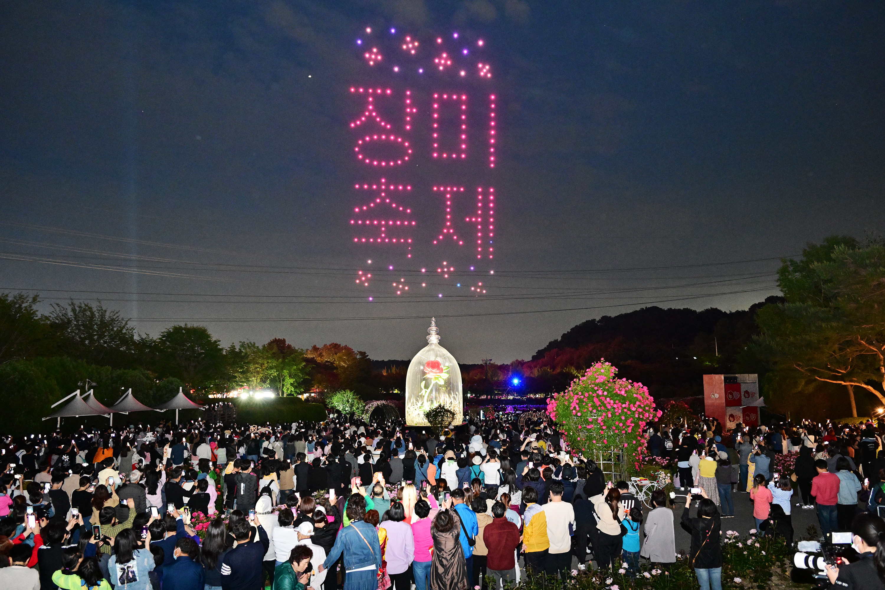 제 15회 울산대공원 장미축제 개막식14
