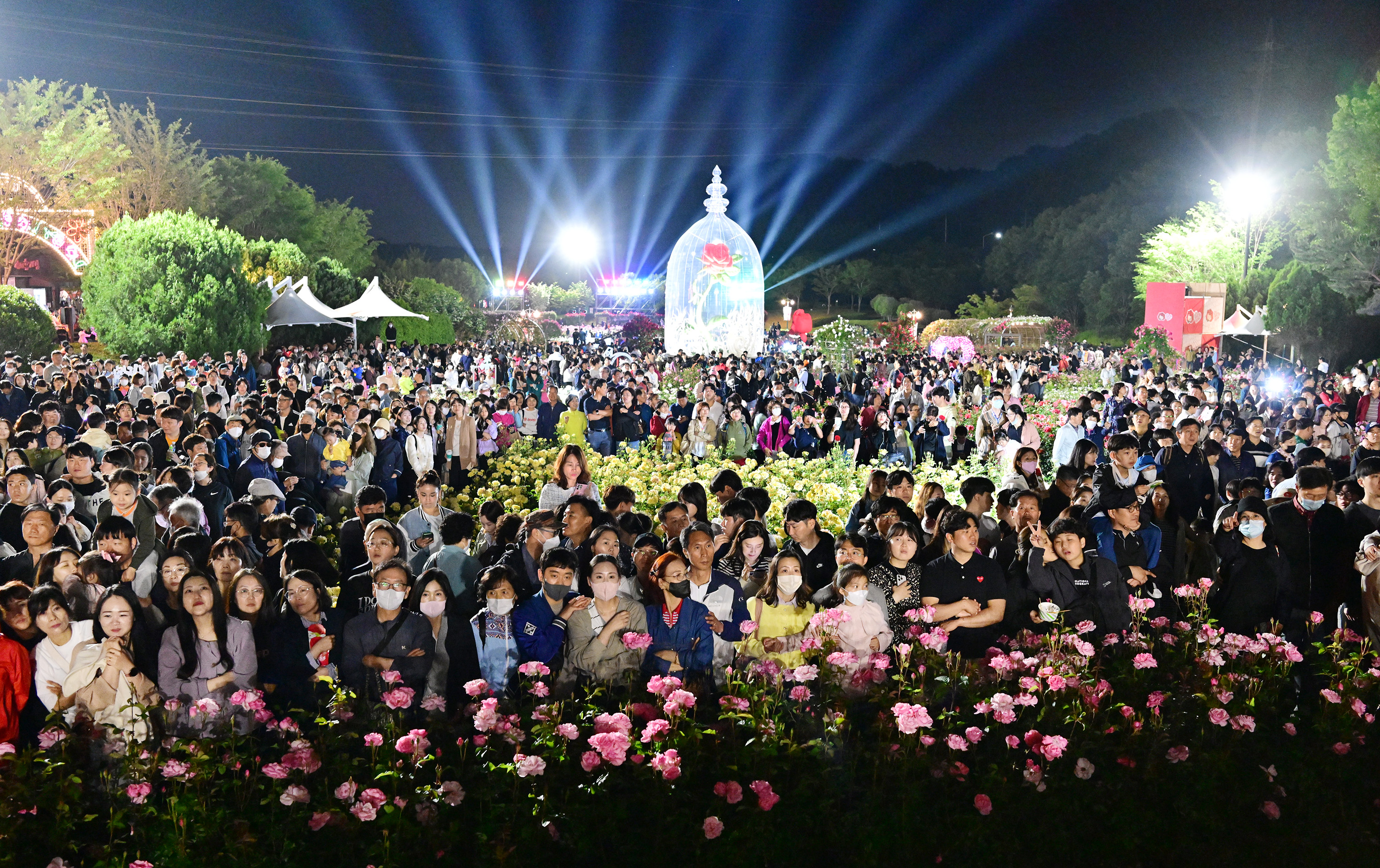 제 15회 울산대공원 장미축제 개막식15