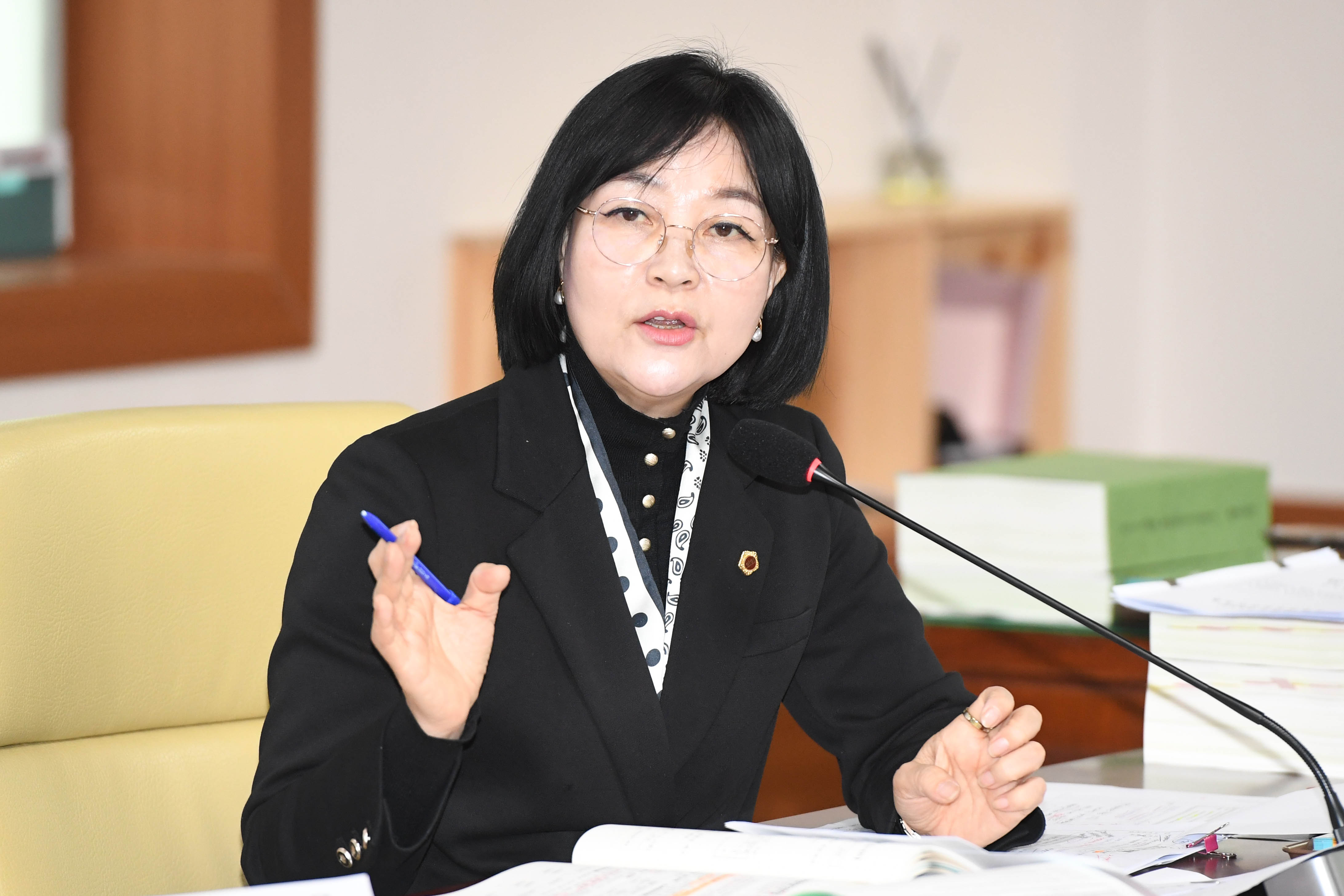 행정자치위원회, 시민안전실 소관 2024년도 제3회 울산광역시 추가경정예산안 예비심사의 건 등 심사5