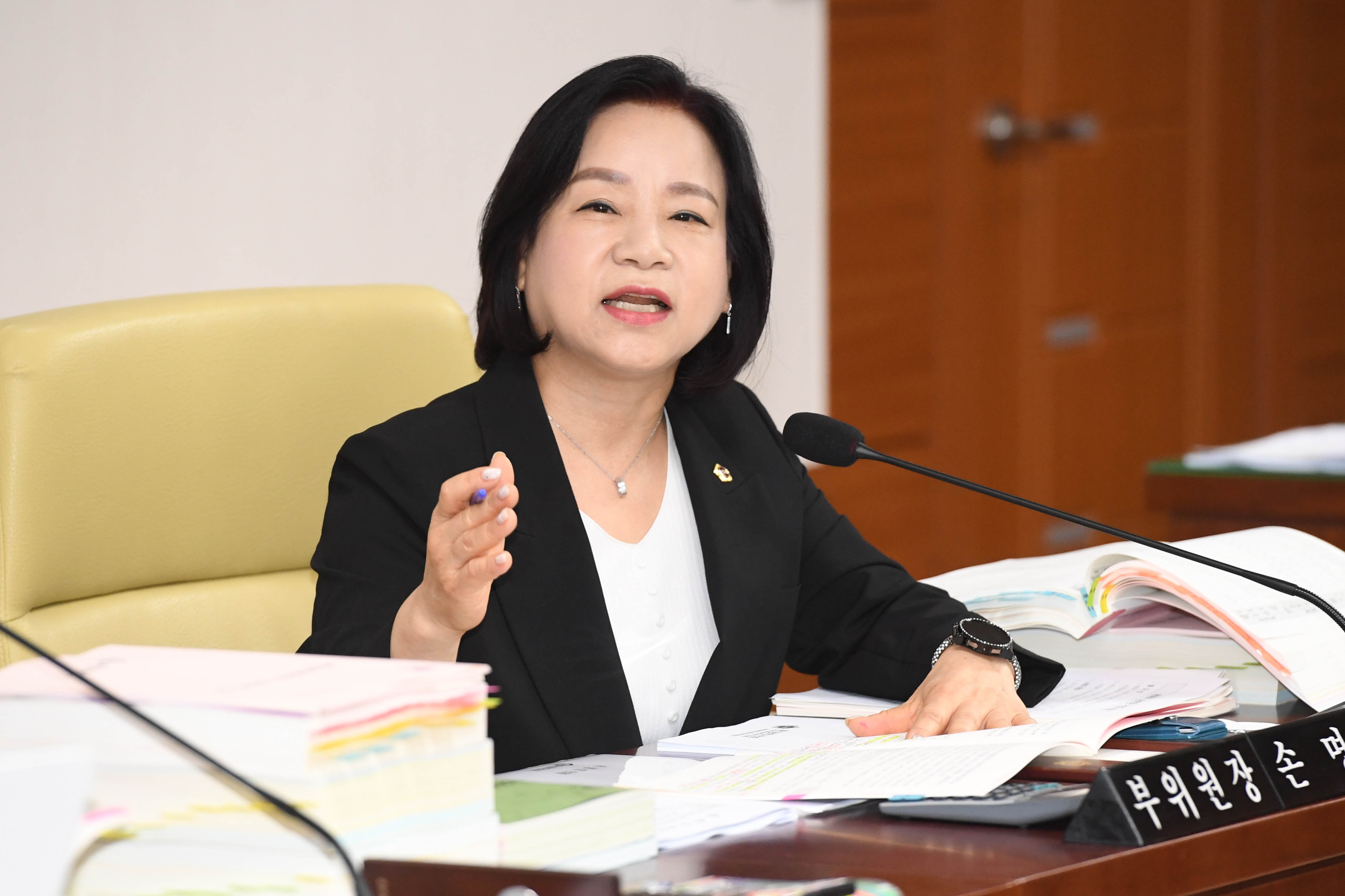 문화복지환경위원회, 제1회 울산광역시 추가경정예산안 예비심사7