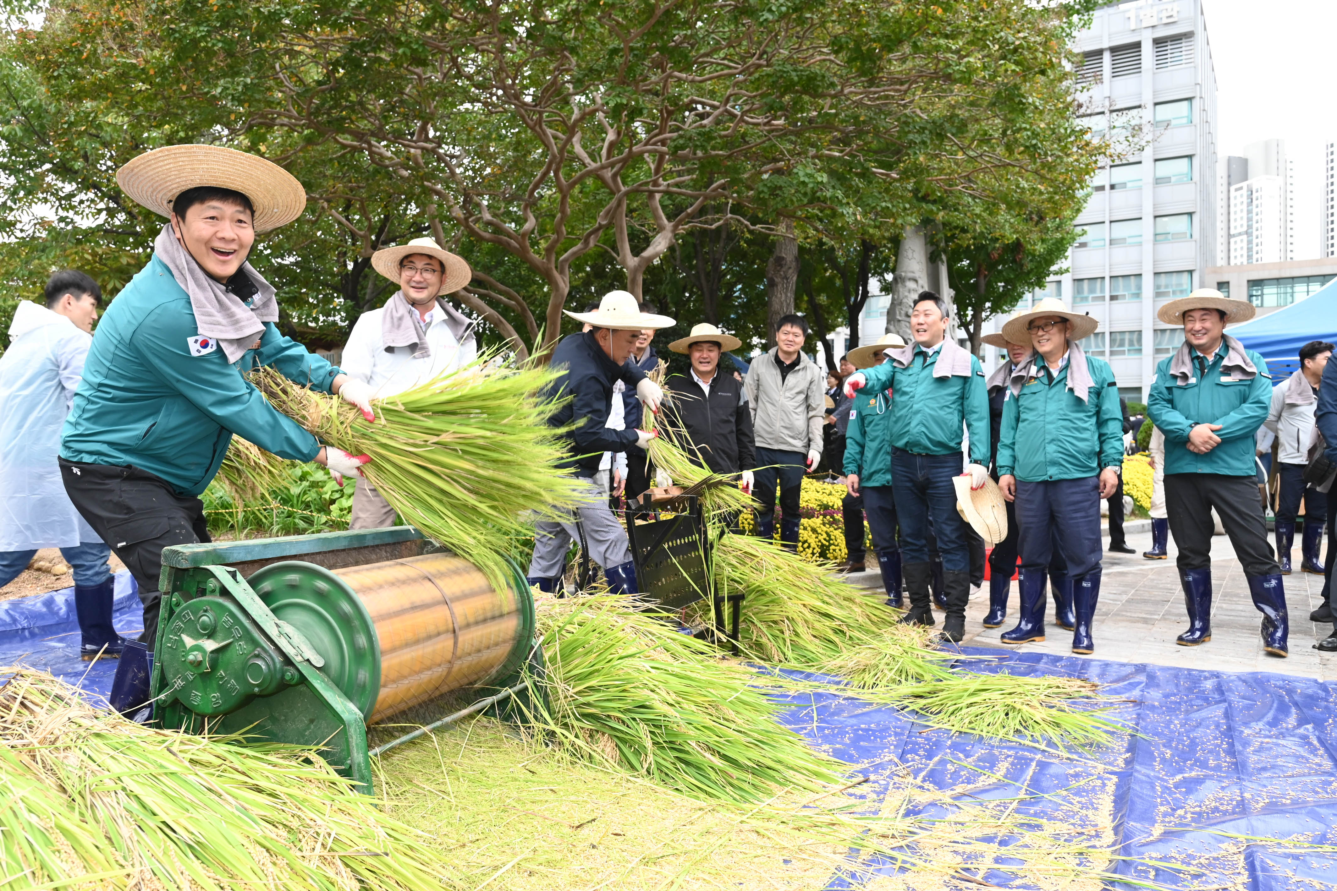 시 청사 생활정원 내 청렴 벼 베기16