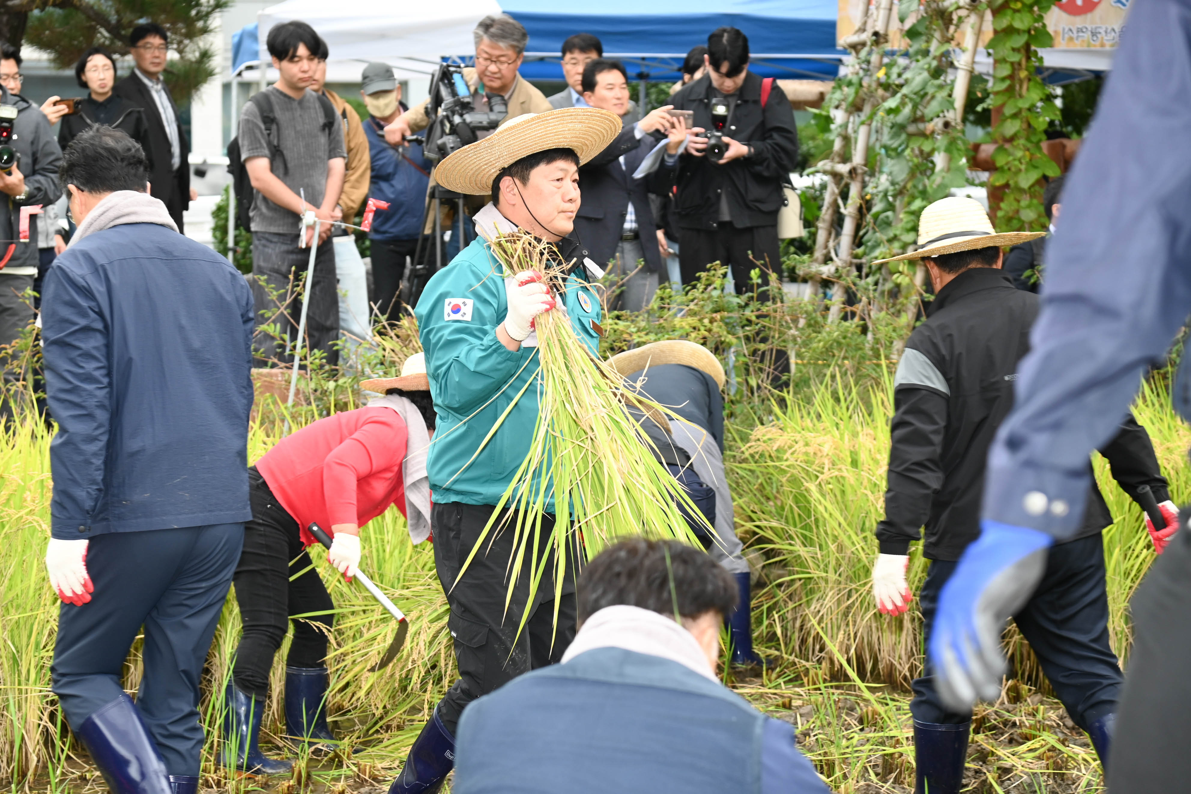 시 청사 생활정원 내 청렴 벼 베기7