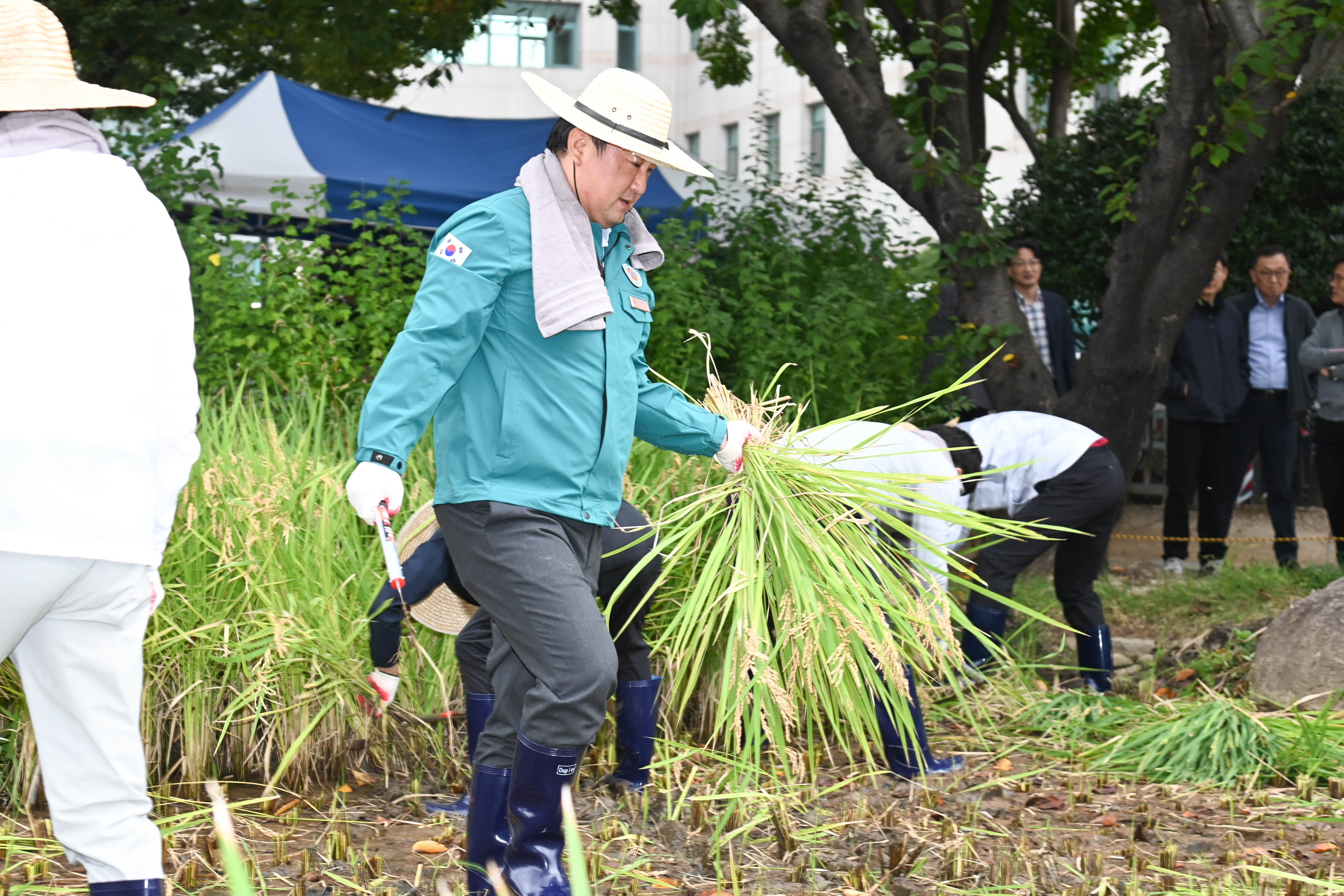 시 청사 생활정원 내 청렴 벼 베기8