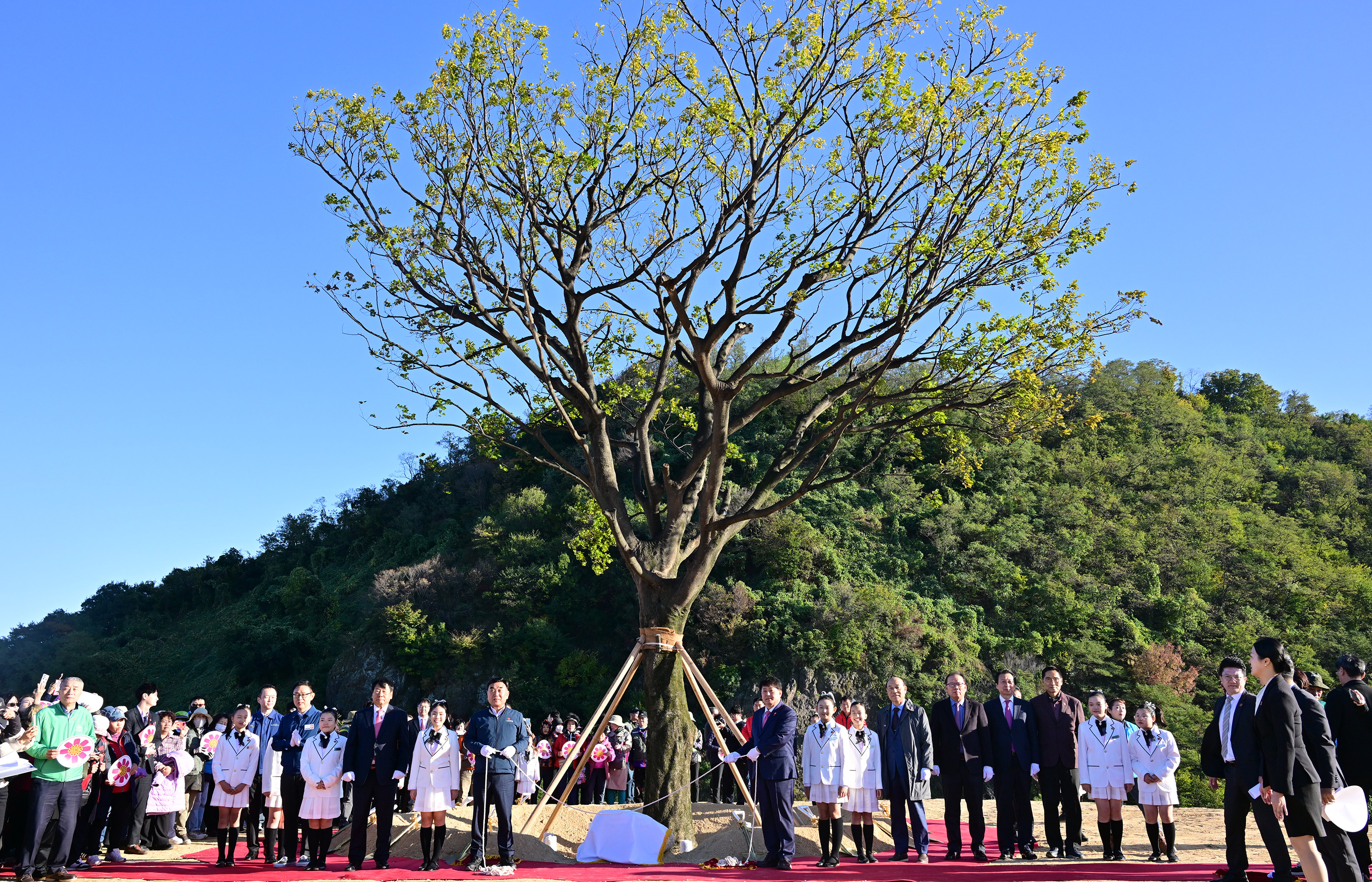 2028울산국제정원박람회 첫번째 정원수(으뜸나무) 식수 행사5