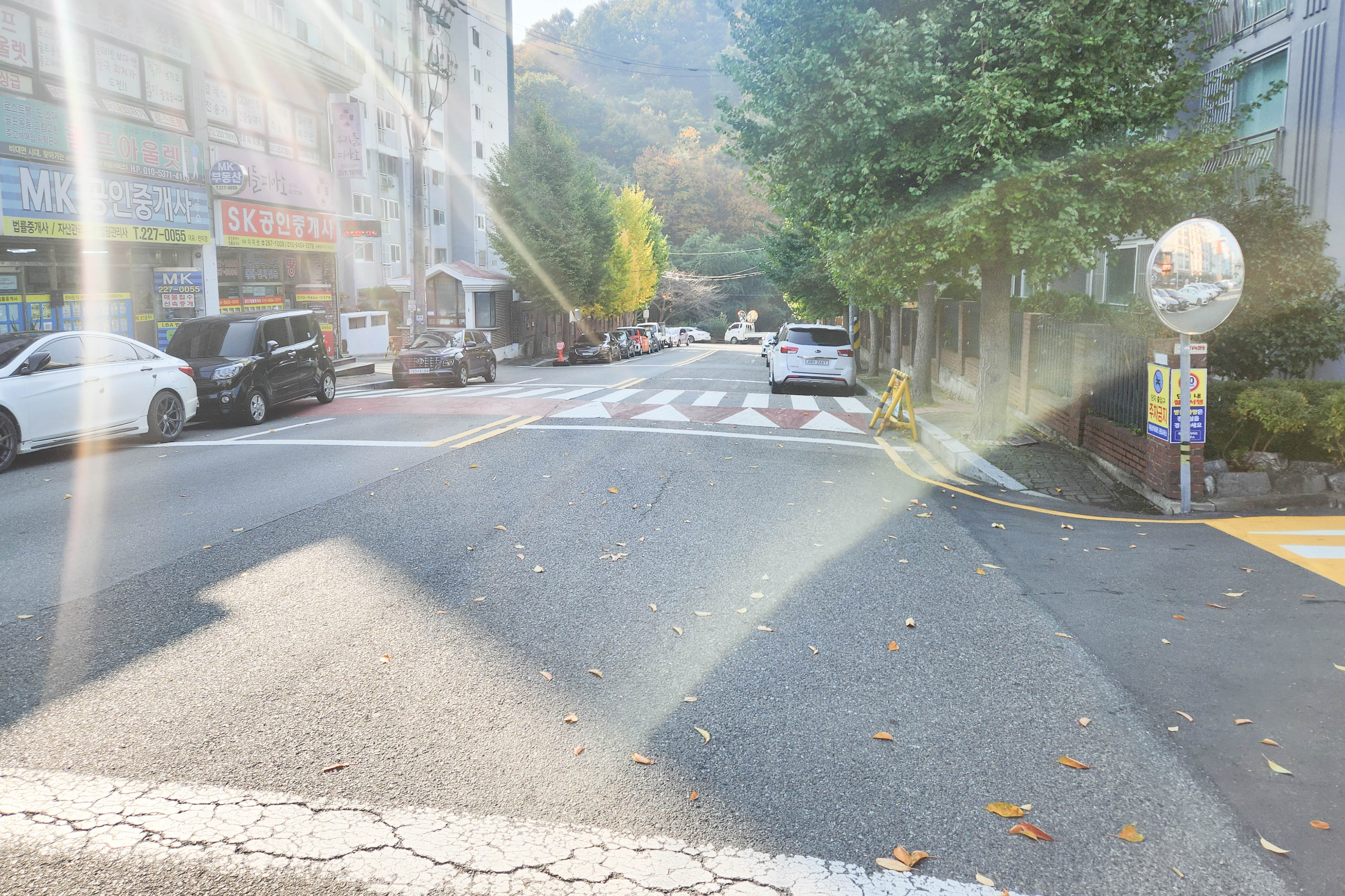 이장걸 행정자치위원장, 남구 옥동 보행자 안전 민원 현장 점검2