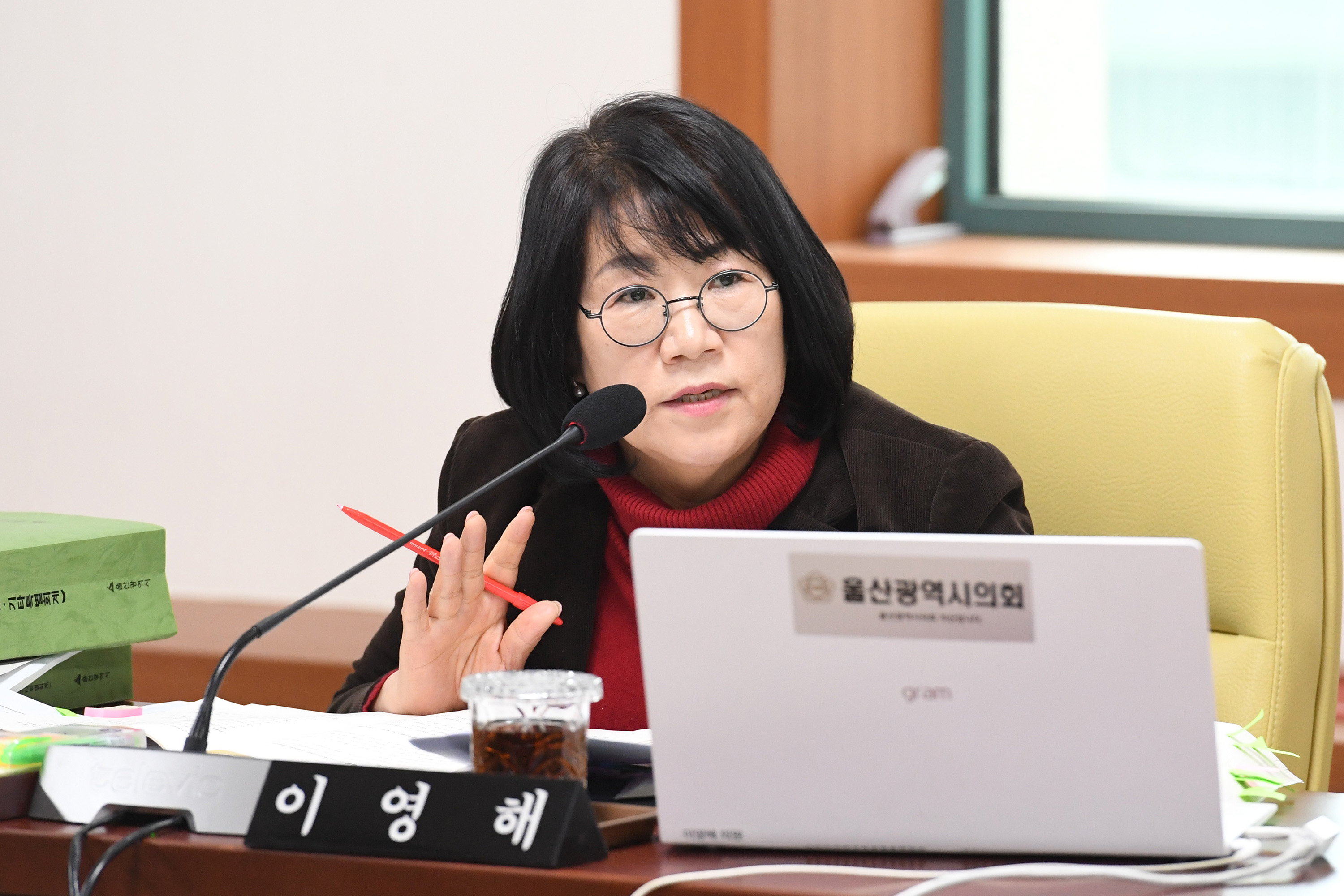 문화복지환경위원회, 문화관광체육국 소관 2026년도 본예산안 및 2025년도 제3회 추경예산안 예비심사6