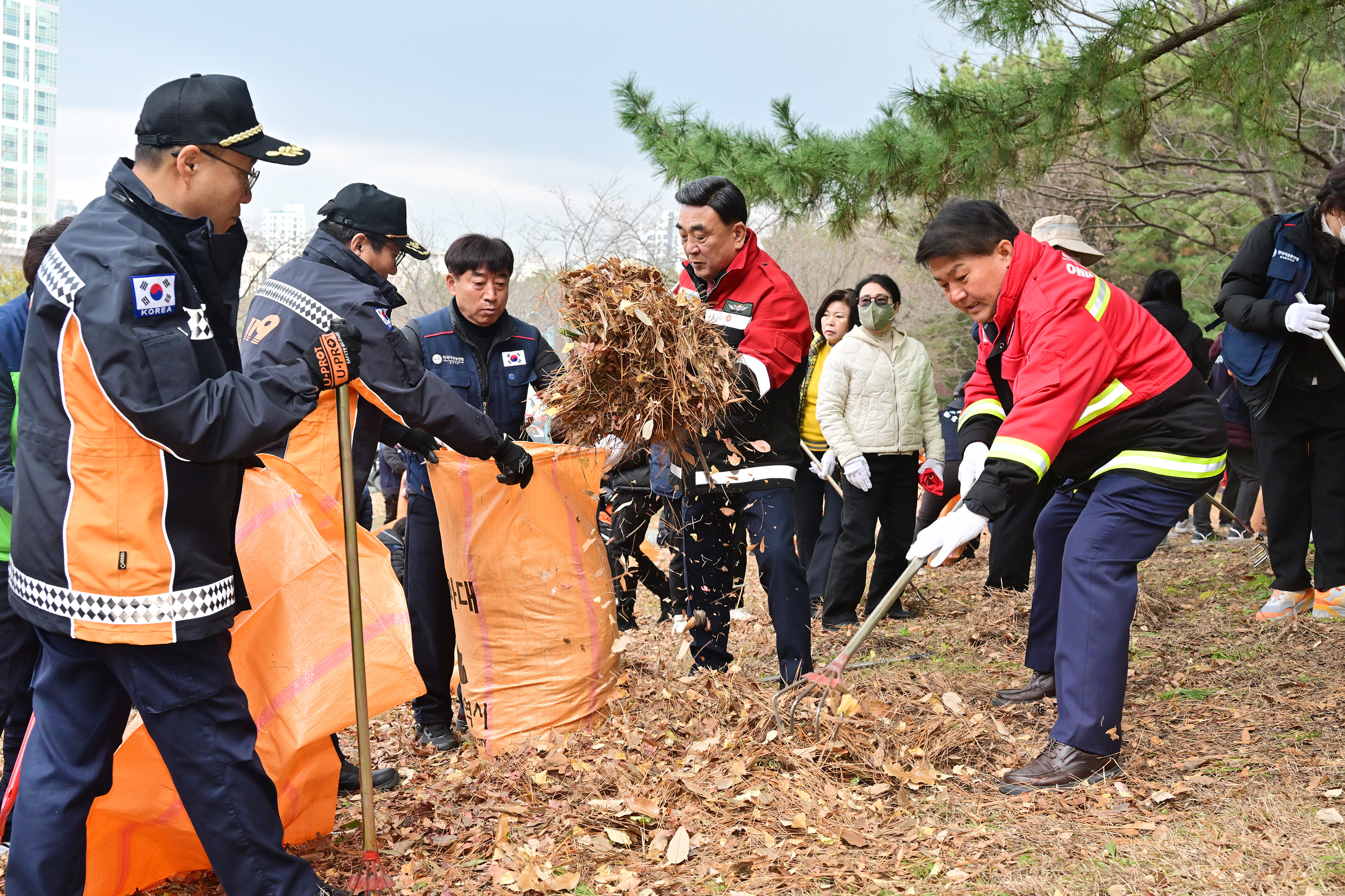 산불예방을 위한 도심 주변 산림 내 인화물질 제거 캠페인 