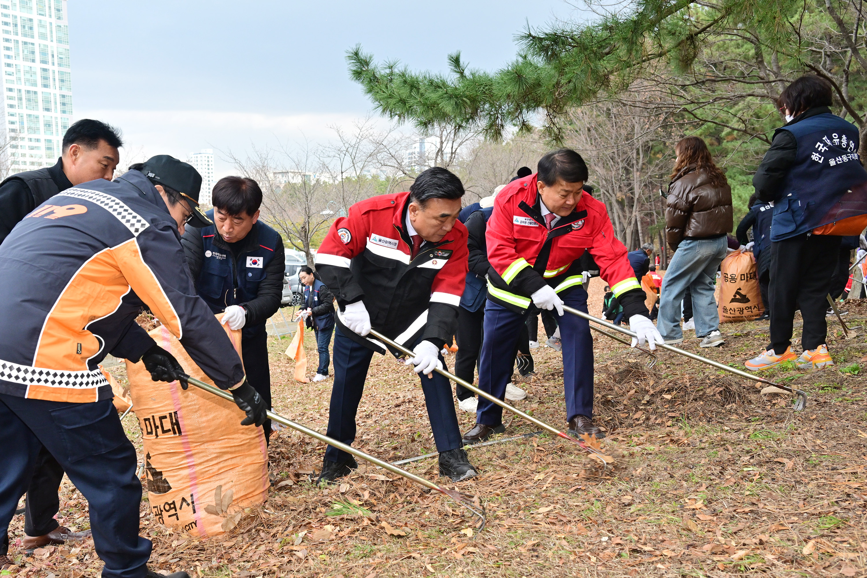 산불예방을 위한 도심 주변 산림 내 인화물질 제거 캠페인 7