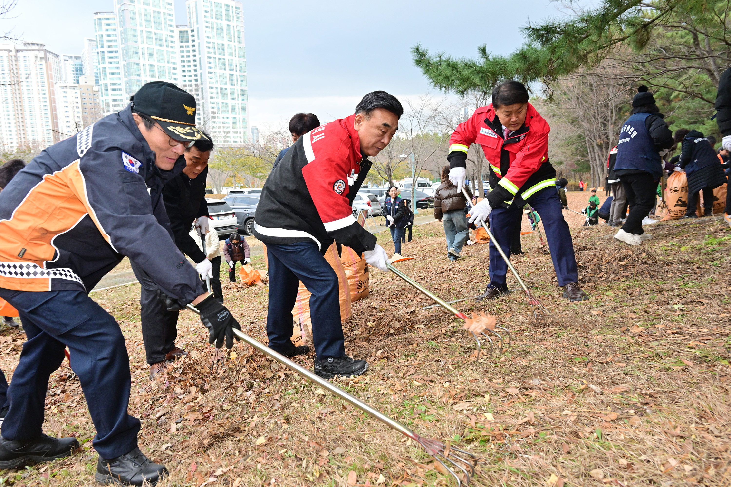 산불예방을 위한 도심 주변 산림 내 인화물질 제거 캠페인 8
