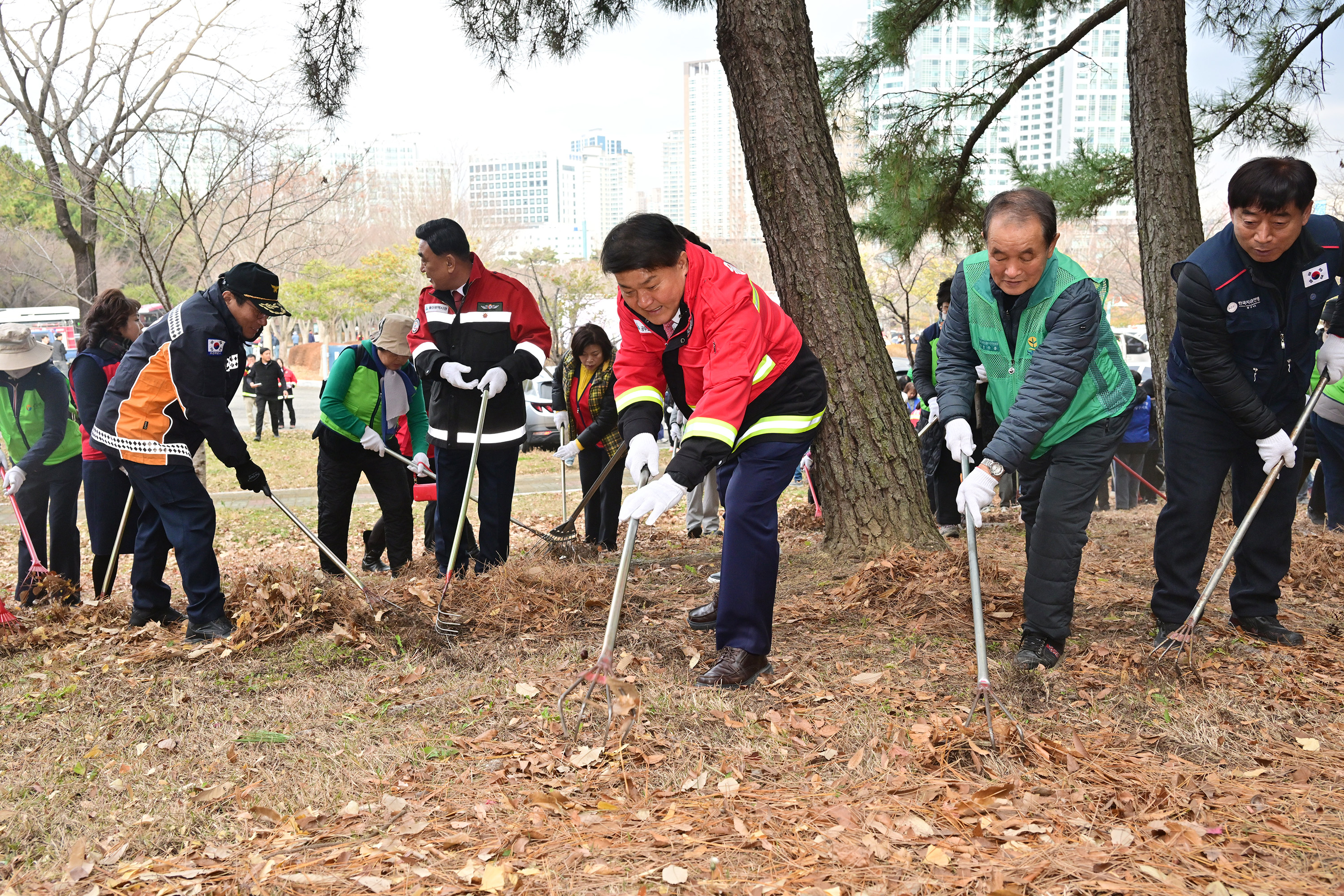산불예방을 위한 도심 주변 산림 내 인화물질 제거 캠페인 9