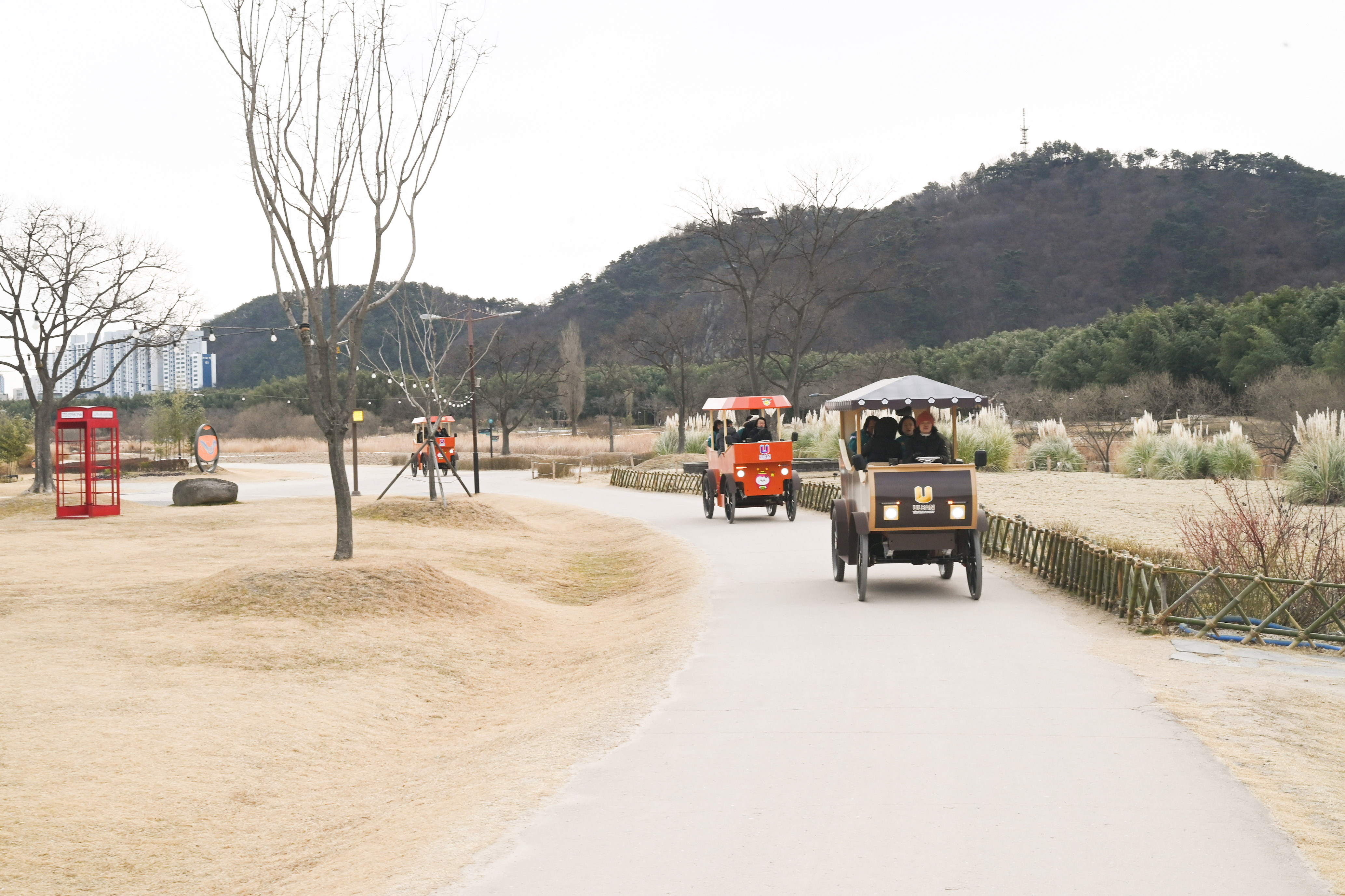 문화복지환경위원회, 울산마차 등 시설물 안전 및 문화관광 콘텐츠 현황 집중 점검6