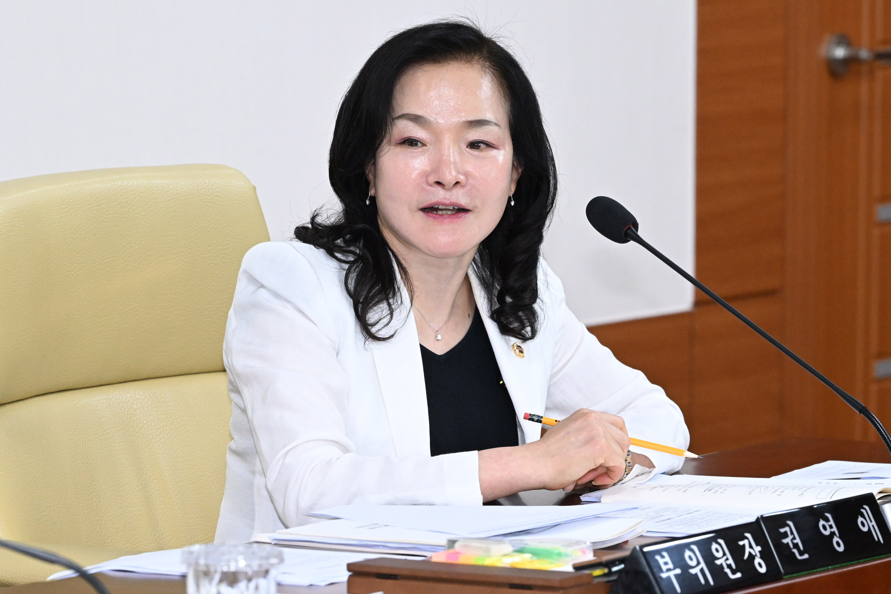 문화복지환경위원회, 문화관광체육국·울산문화관광재단 소관 2026년도 주요업무보고 청취의 건5
