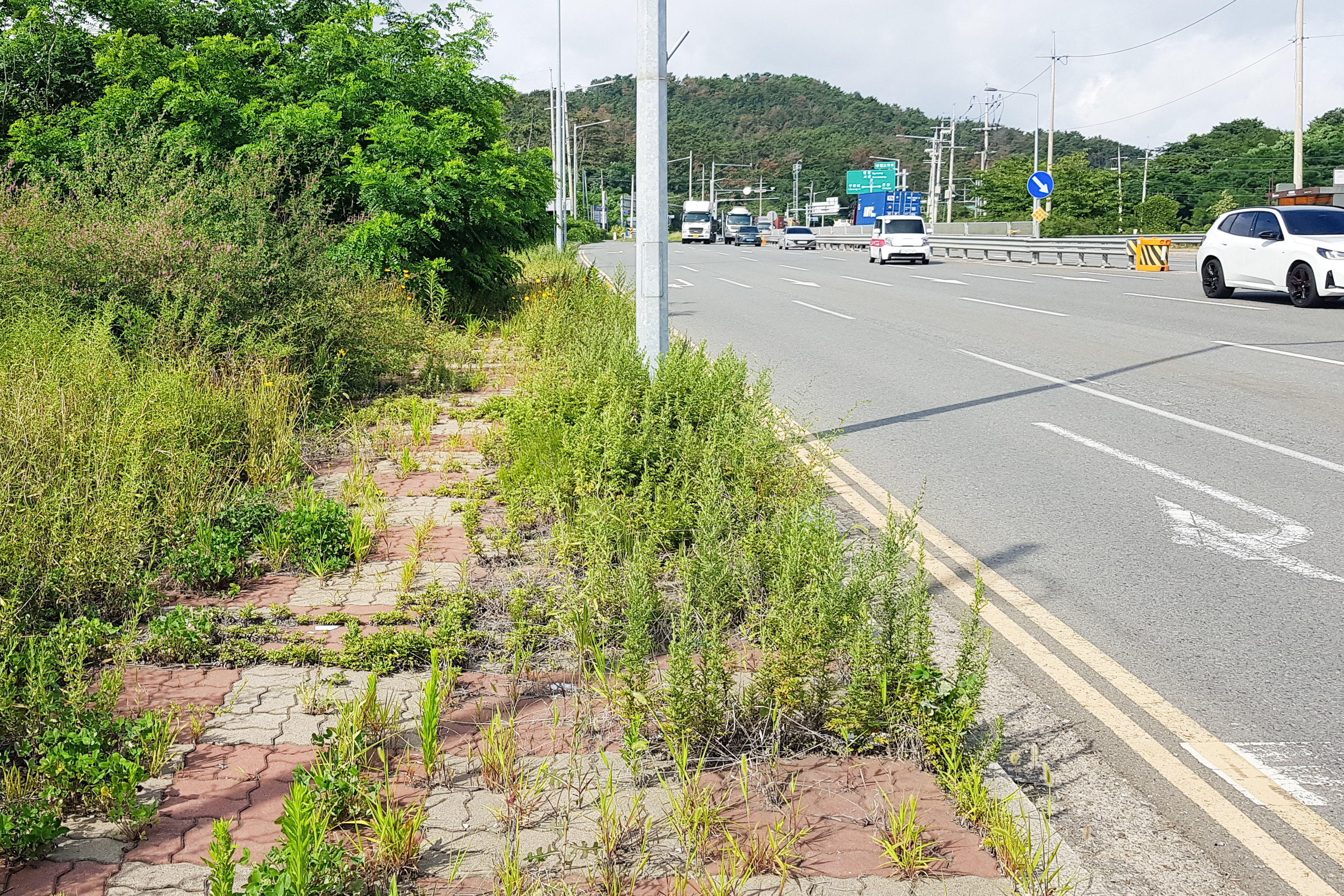 공진혁 의회운영위원장, 온산읍 버스정류장 주변 관리 실태 점검2