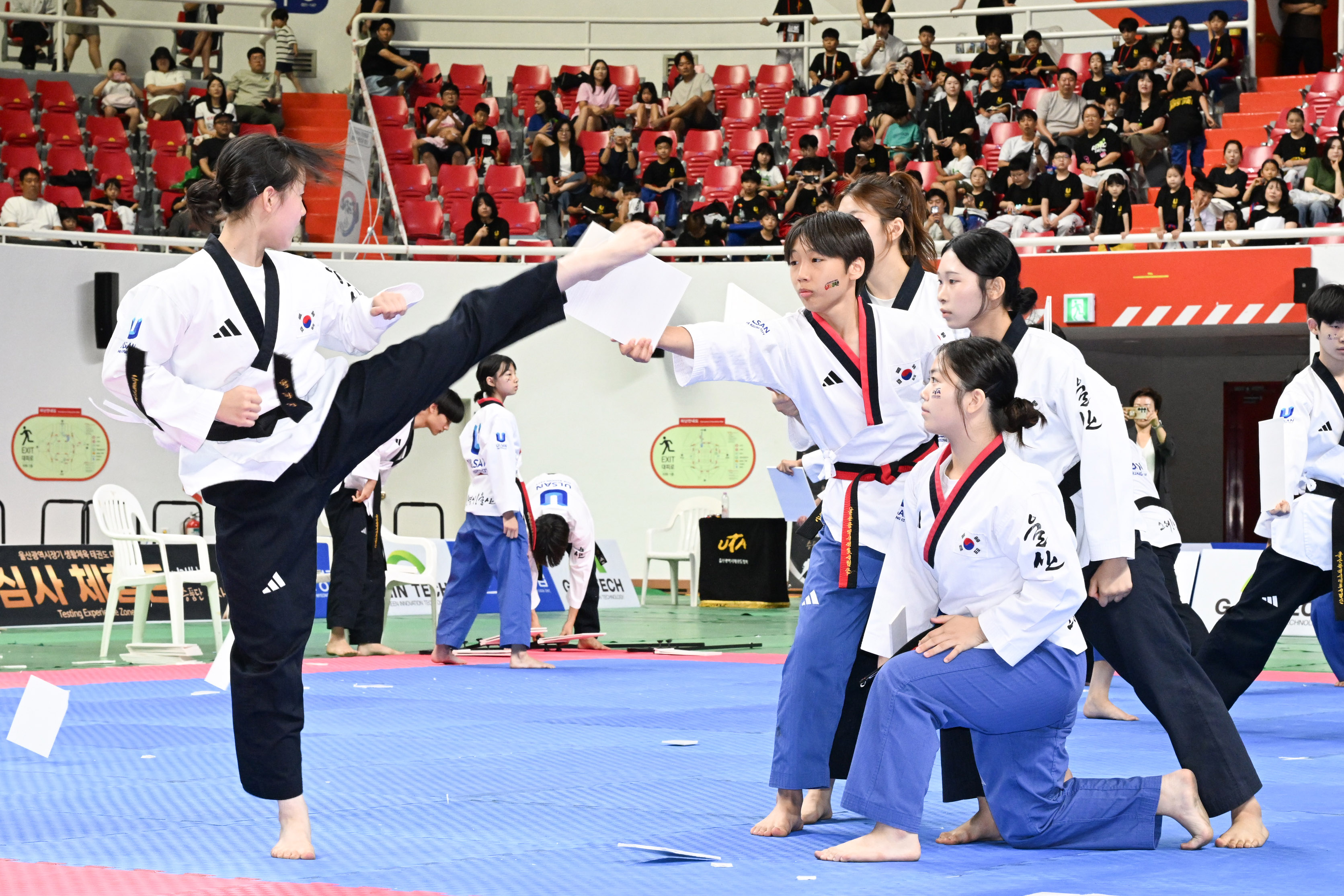 2026 울산광역시장기 생활체육 태권도 대축전4
